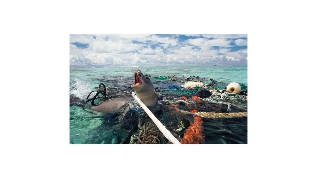 Nightmare of plastic oceans will only get worse