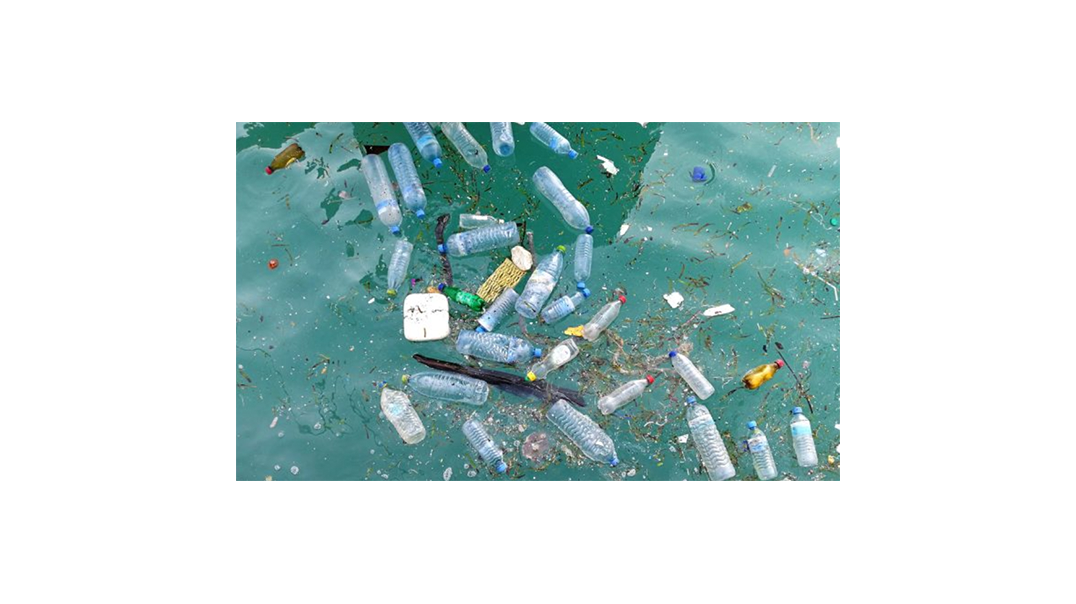 What is plastic pollution